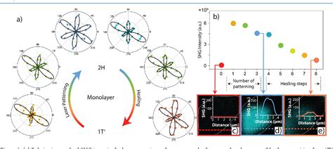  Rhenium Disulfide: Next Generation Catalyst for Sustainable Energy?